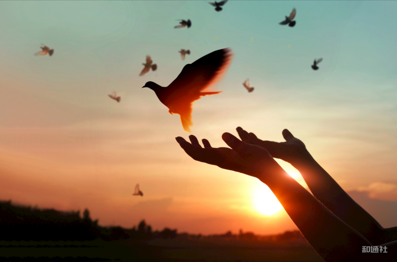 厚道成事 心向山河——聂荣臻的革命征程与科技丰碑